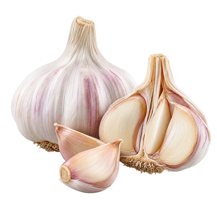 Ajo
